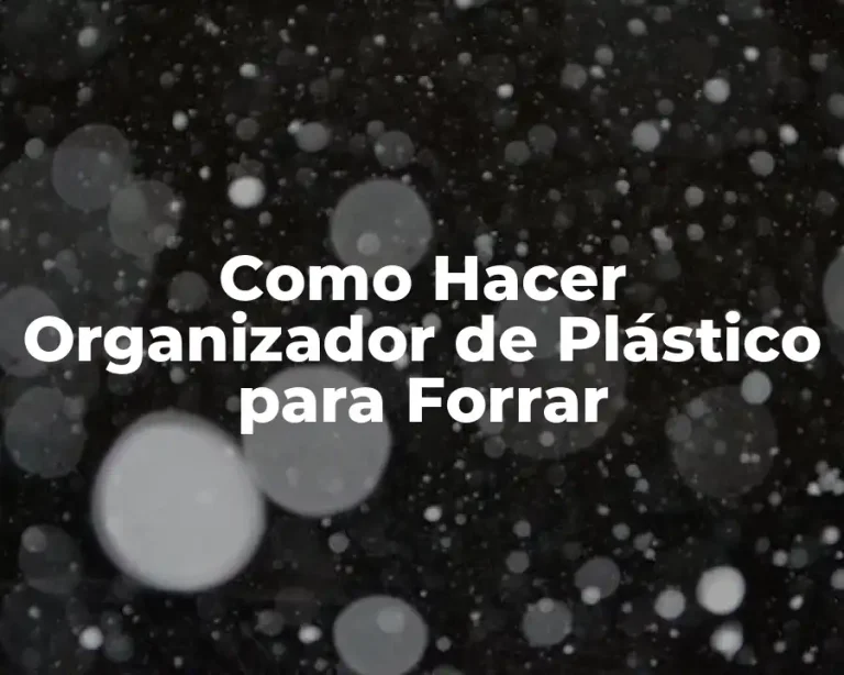 Como Hacer Organizador de Plástico para Forrar