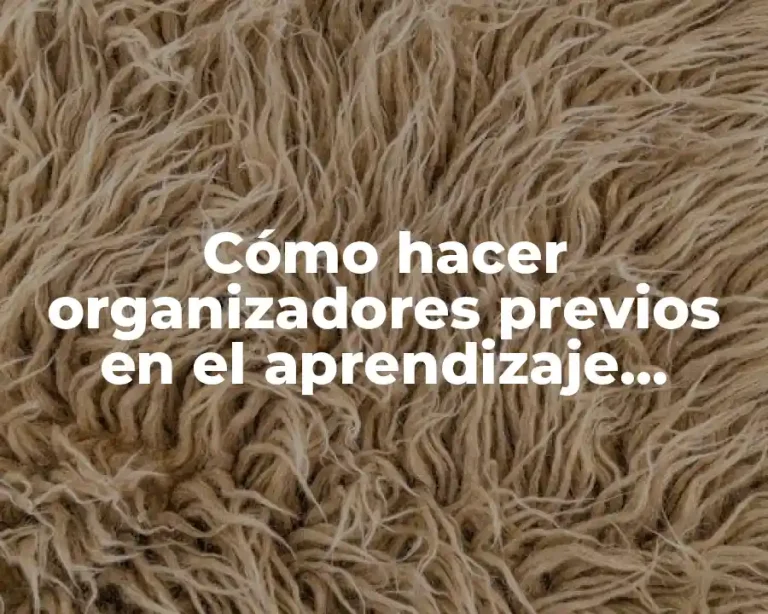 Cómo hacer organizadores previos en el aprendizaje significativo