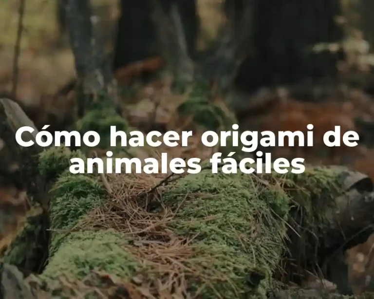 Cómo hacer origami de animales fáciles