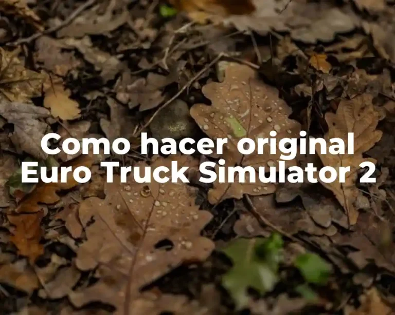 Como hacer original Euro Truck Simulator 2
