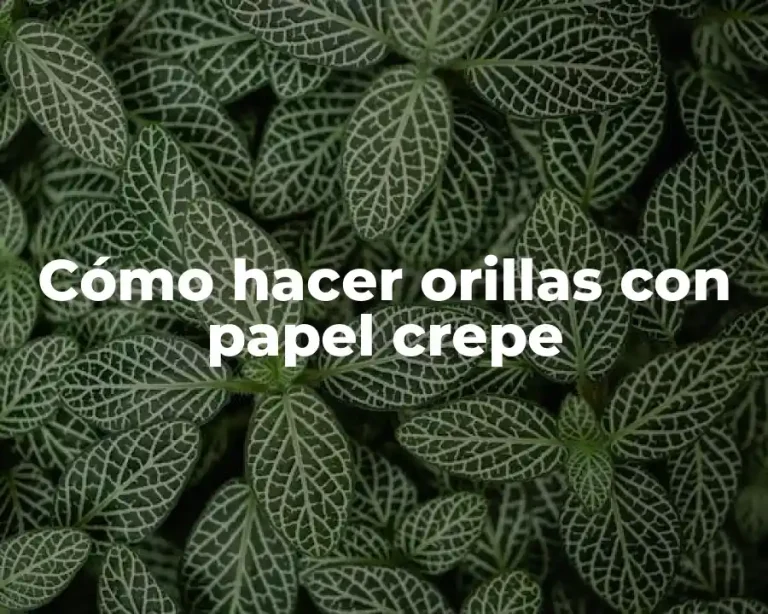 Cómo hacer orillas con papel crepe