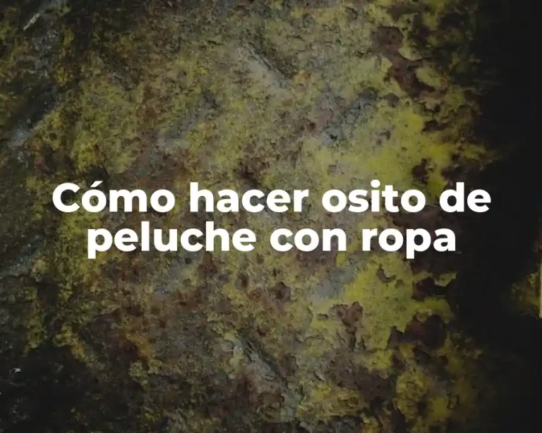 Cómo hacer osito de peluche con ropa