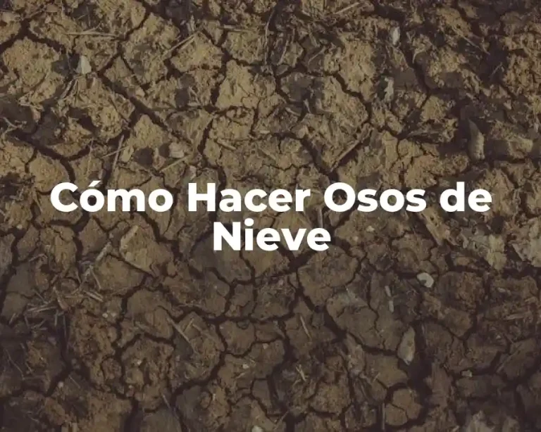 Cómo Hacer Osos de Nieve