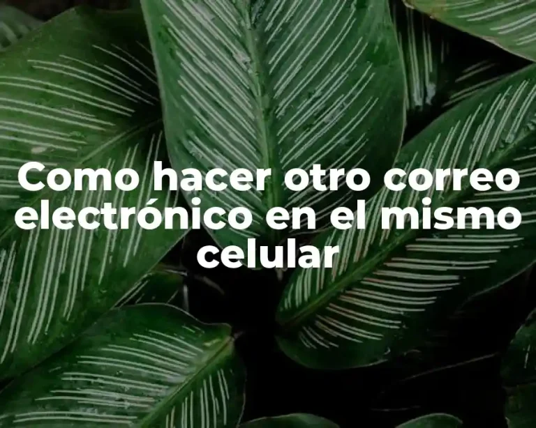Como hacer otro correo electrónico en el mismo celular