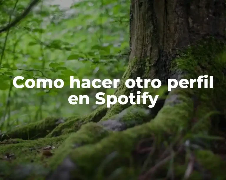 Como hacer otro perfil en Spotify