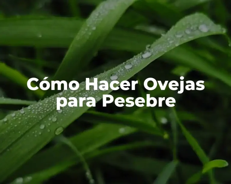 Cómo Hacer Ovejas para Pesebre