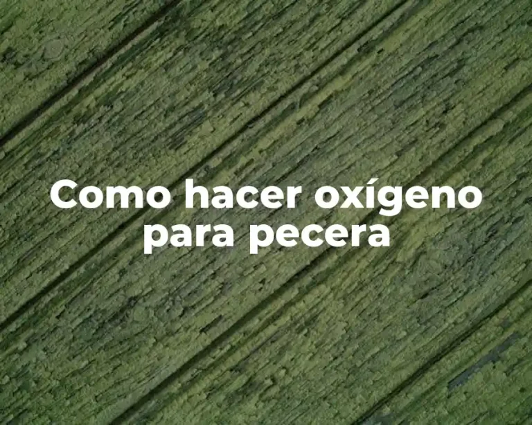 Como hacer oxígeno para pecera