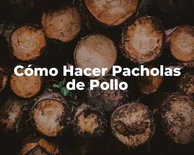Cómo Hacer Pacholas de Pollo