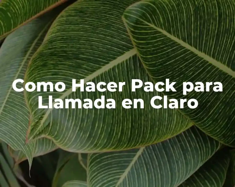 Como Hacer Pack para Llamada en Claro