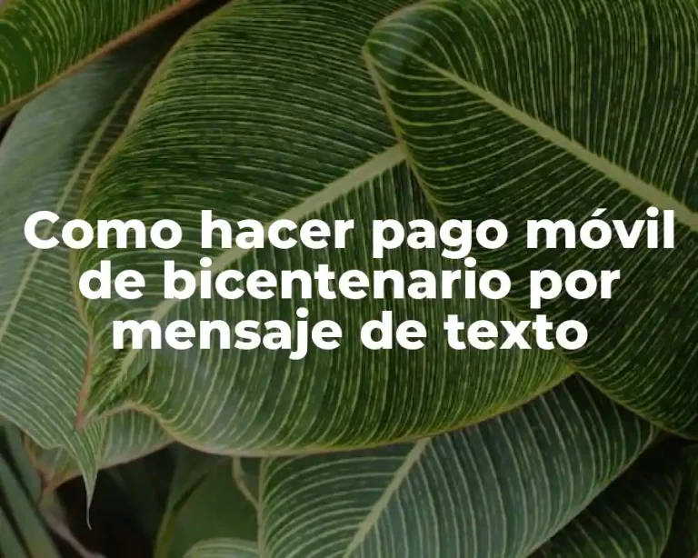 Como hacer pago móvil de bicentenario por mensaje de texto