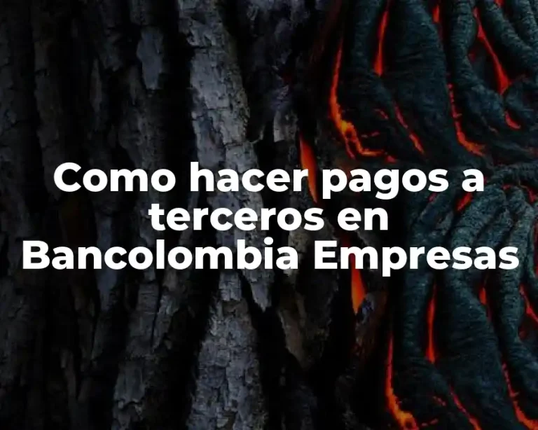 Como hacer pagos a terceros en Bancolombia Empresas