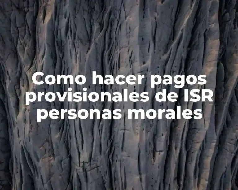 Como hacer pagos provisionales de ISR personas morales