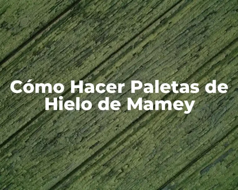 Cómo Hacer Paletas de Hielo de Mamey