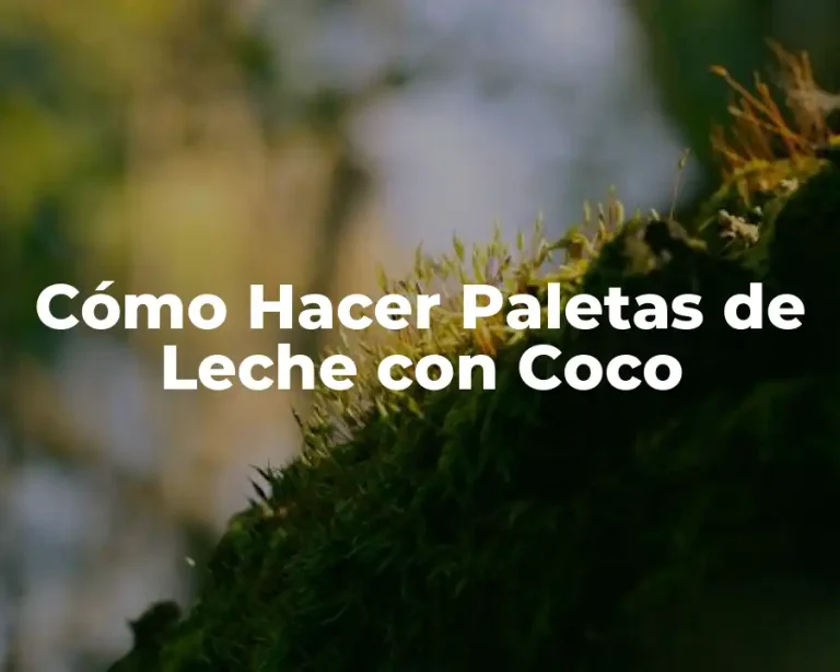 Cómo Hacer Paletas de Leche con Coco