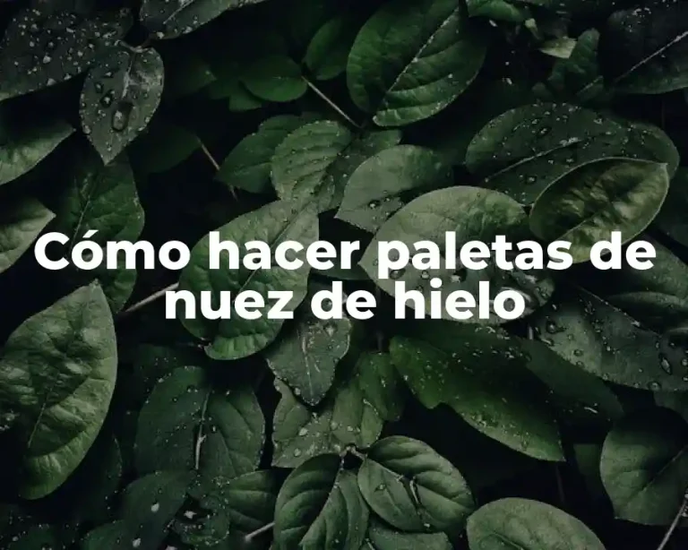 Cómo hacer paletas de nuez de hielo