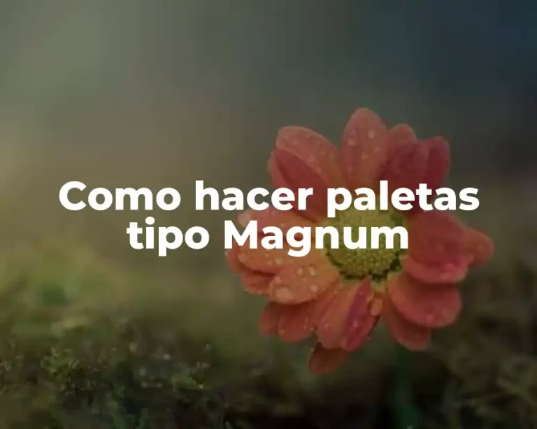Como hacer paletas tipo Magnum