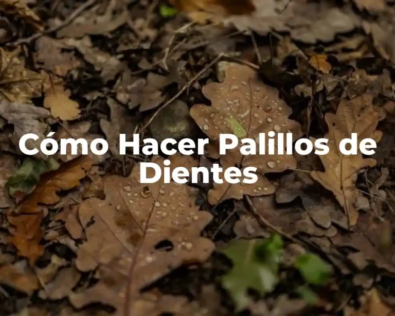 Cómo Hacer Palillos de Dientes
