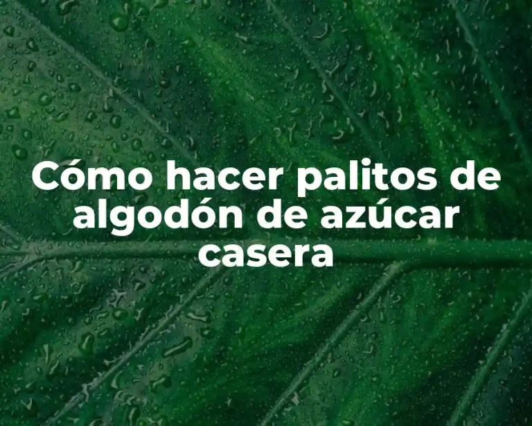 Cómo hacer palitos de algodón de azúcar casera