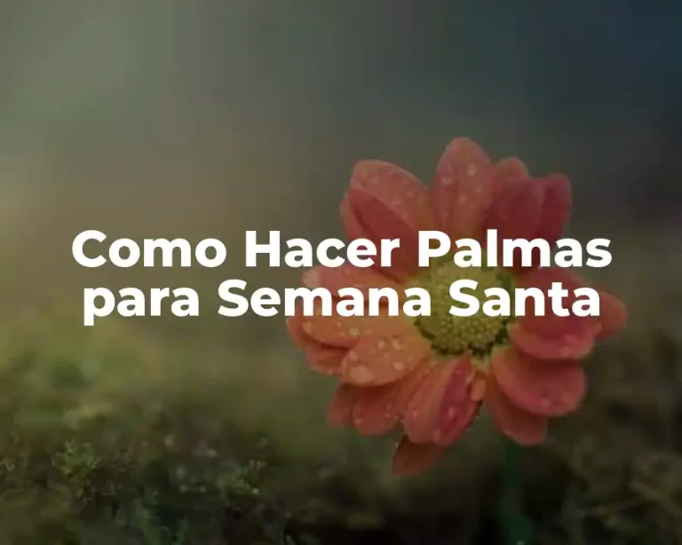 Como Hacer Palmas para Semana Santa