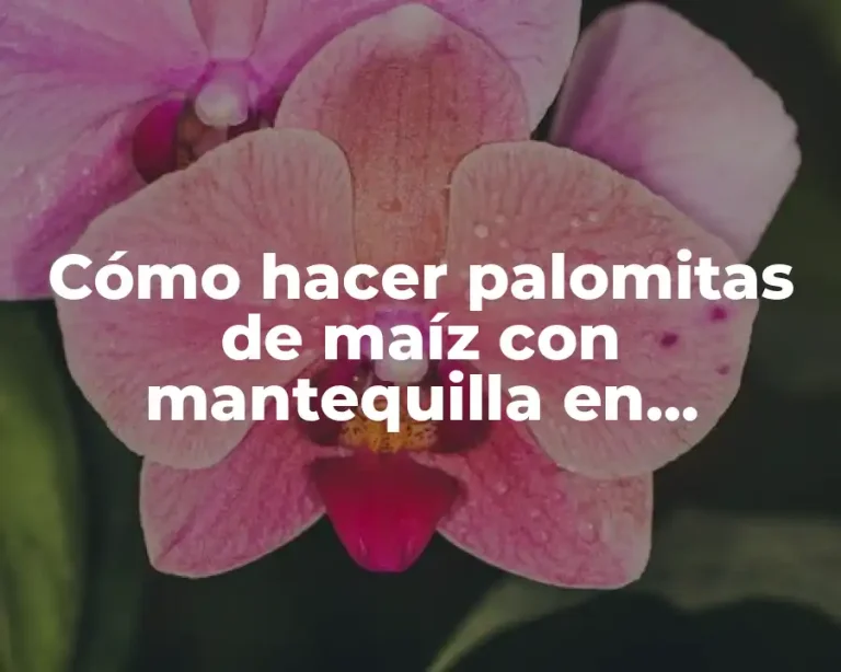 Cómo hacer palomitas de maíz con mantequilla en microondas