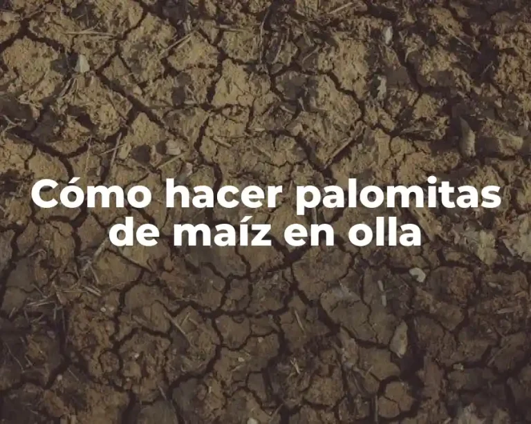 Cómo hacer palomitas de maíz en olla