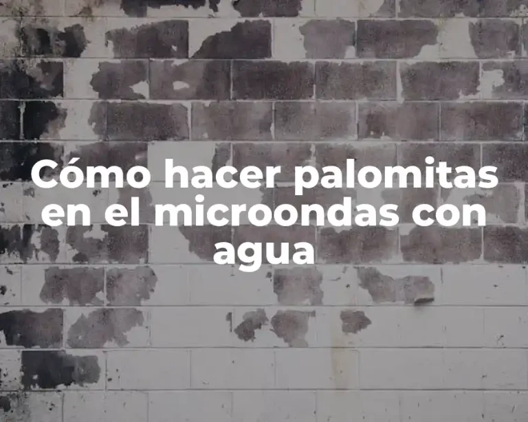 Cómo hacer palomitas en el microondas con agua