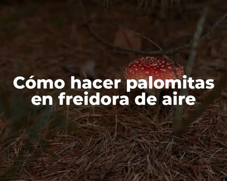 Cómo hacer palomitas en freidora de aire