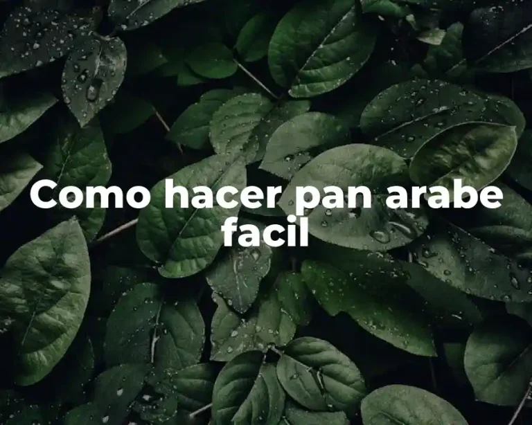 Como hacer pan arabe facil