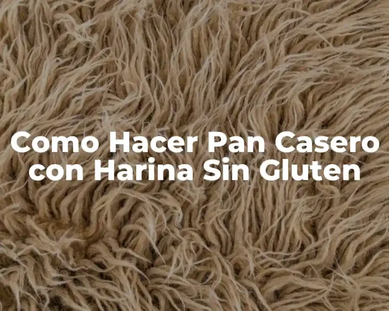 Como Hacer Pan Casero con Harina Sin Gluten