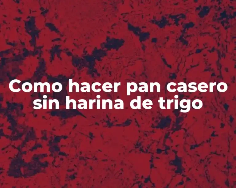 Como hacer pan casero sin harina de trigo