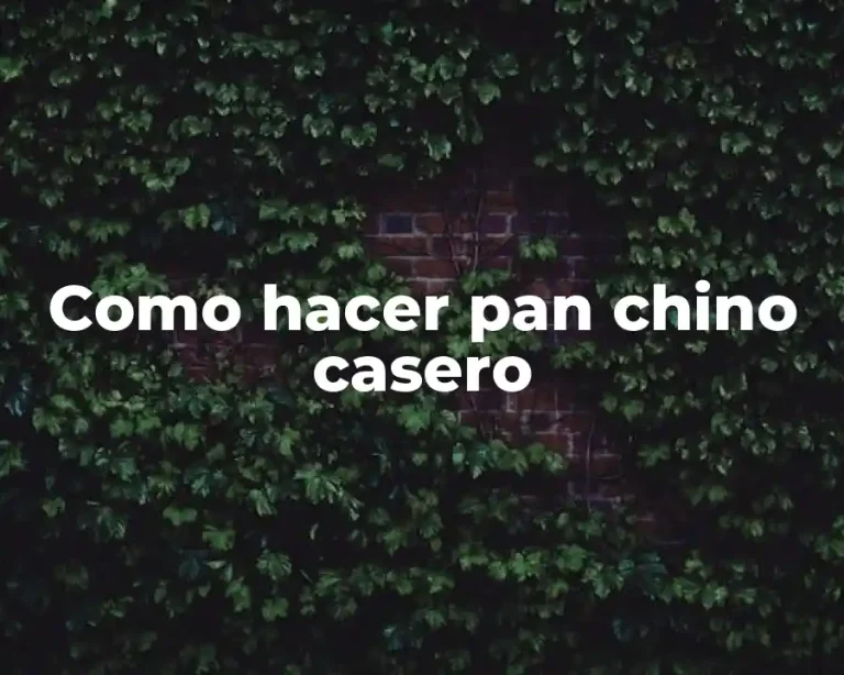 Como hacer pan chino casero