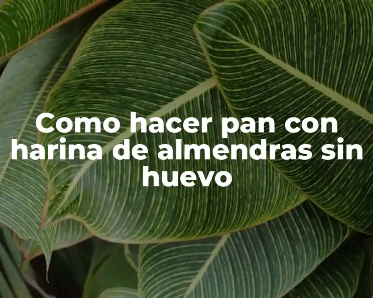 Como hacer pan con harina de almendras sin huevo