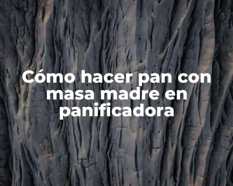 Cómo hacer pan con masa madre en panificadora