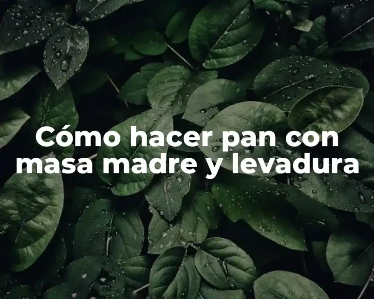 Cómo hacer pan con masa madre y levadura