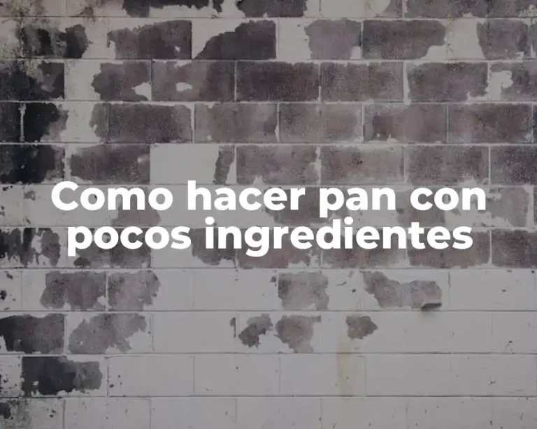 Como hacer pan con pocos ingredientes