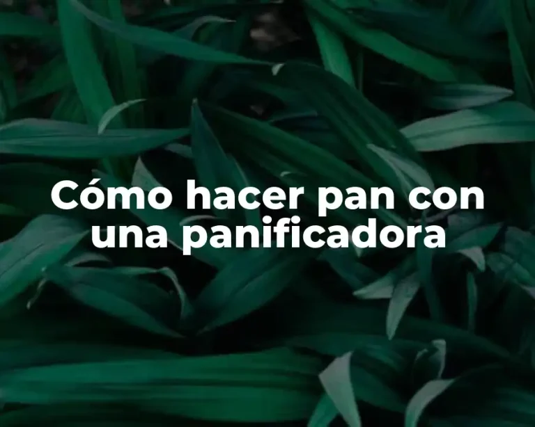 Cómo hacer pan con una panificadora