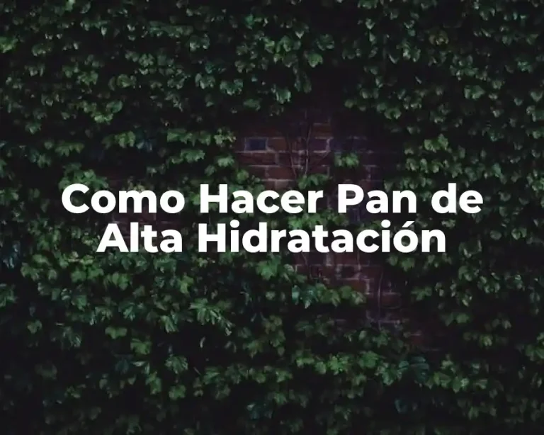 Como Hacer Pan de Alta Hidratación
