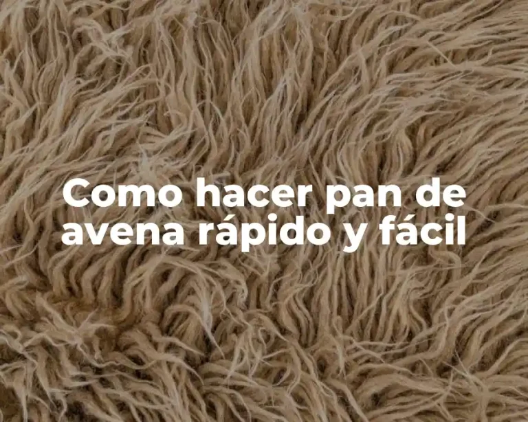 Como hacer pan de avena rápido y fácil