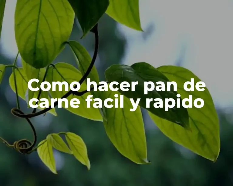 Como hacer pan de carne facil y rapido