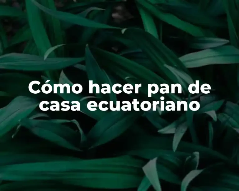 Cómo hacer pan de casa ecuatoriano