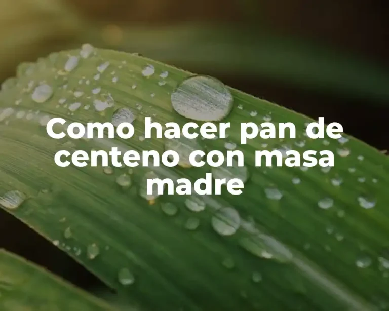 Como hacer pan de centeno con masa madre
