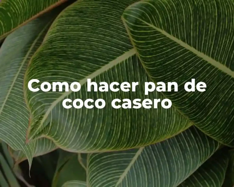 Como hacer pan de coco casero