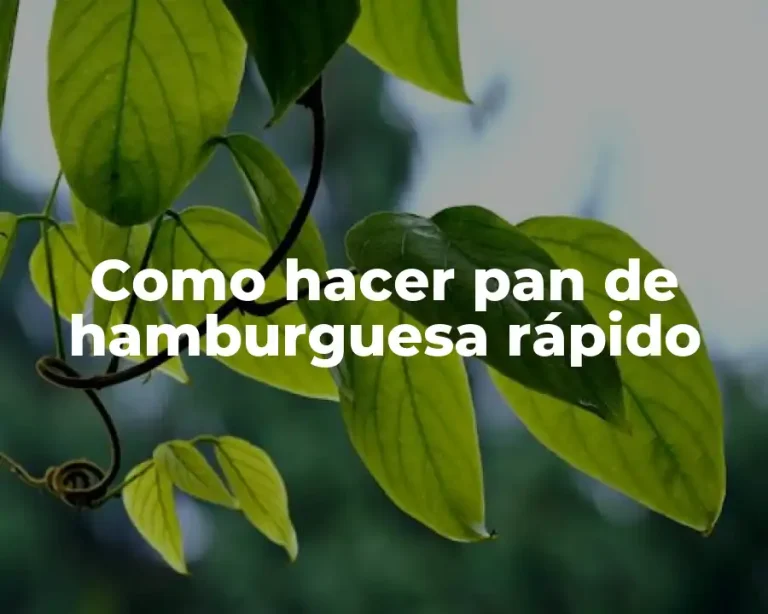 Como hacer pan de hamburguesa rápido