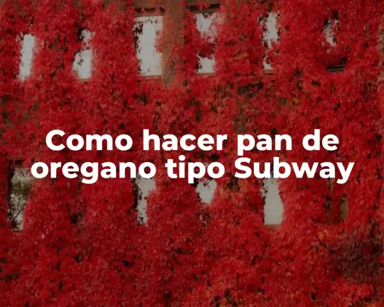 Como hacer pan de oregano tipo Subway