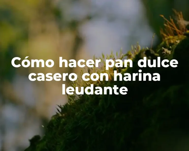 Cómo hacer pan dulce casero con harina leudante