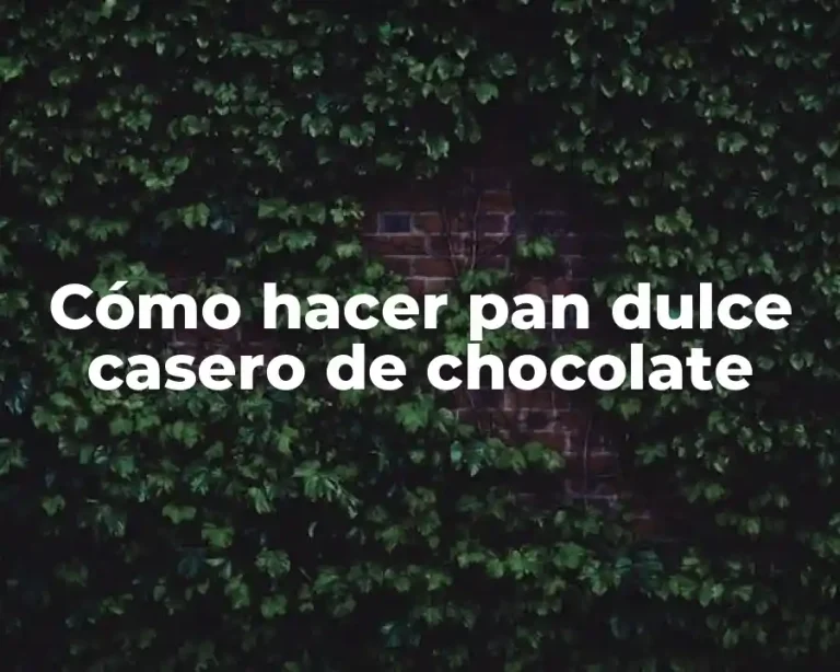 Cómo hacer pan dulce casero de chocolate
