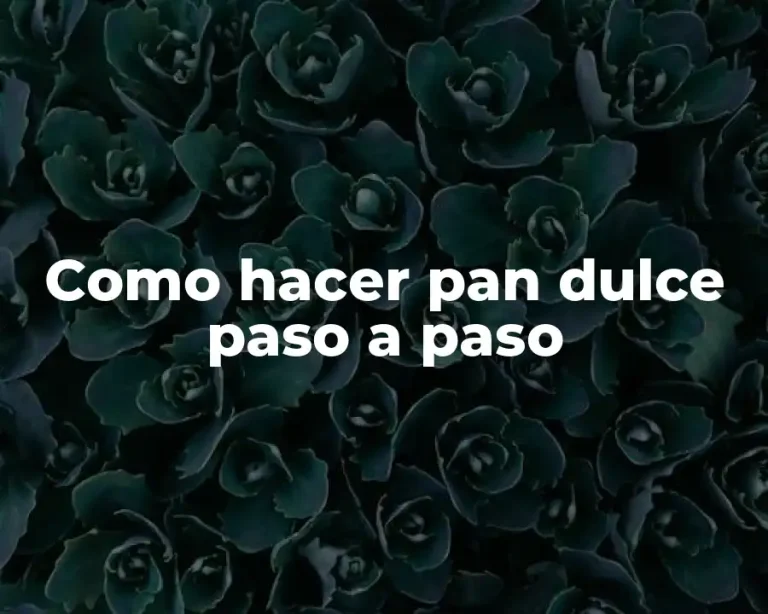 Como hacer pan dulce paso a paso