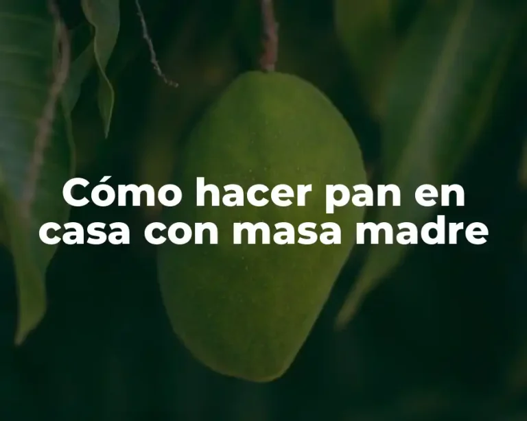 Cómo hacer pan en casa con masa madre