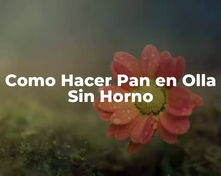 Como Hacer Pan en Olla Sin Horno