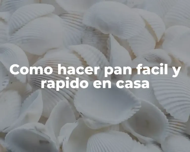 Como hacer pan facil y rapido en casa